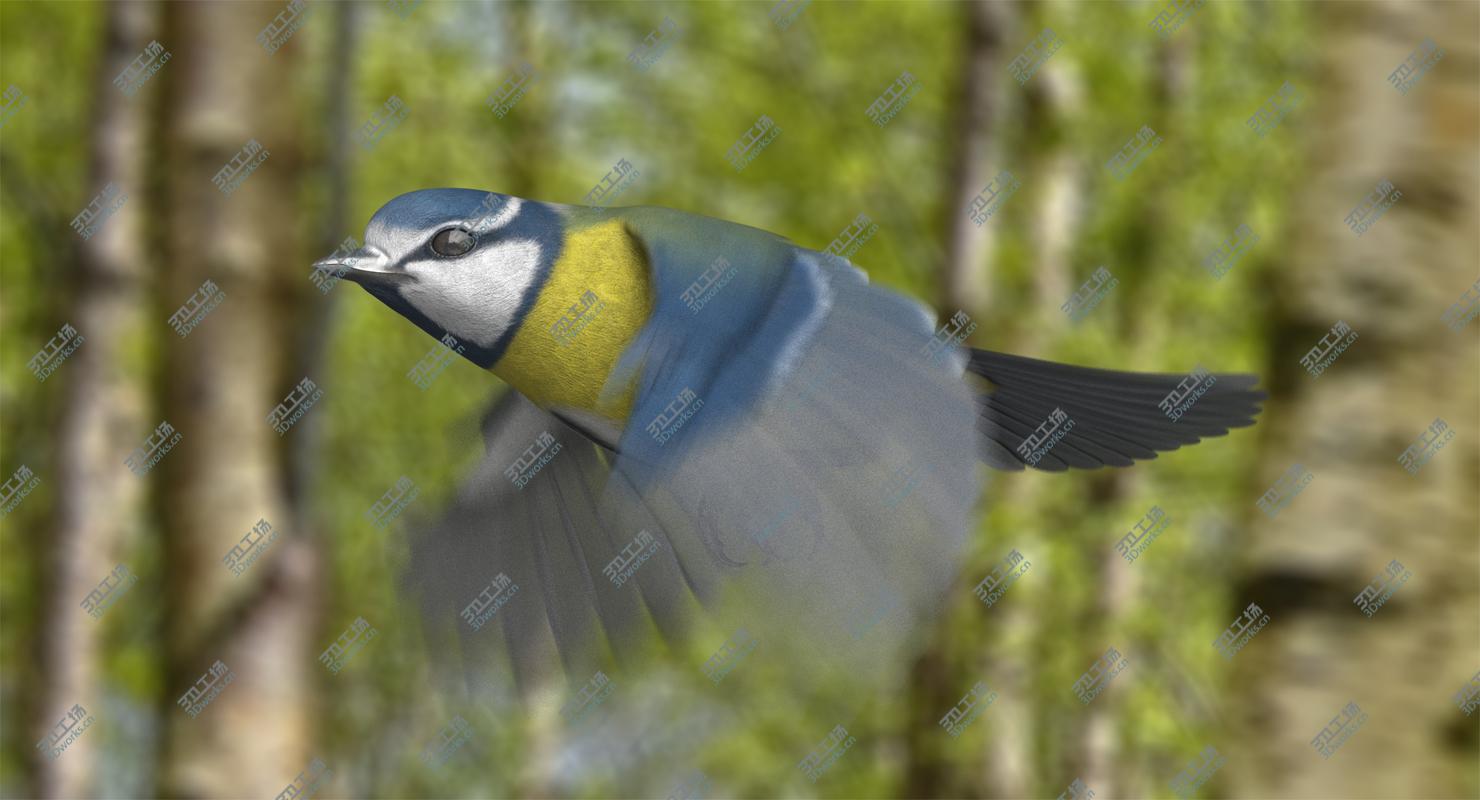 images/goods_img/20210319/Eurasian Blue Tit (Animated) 3D model/1.jpg